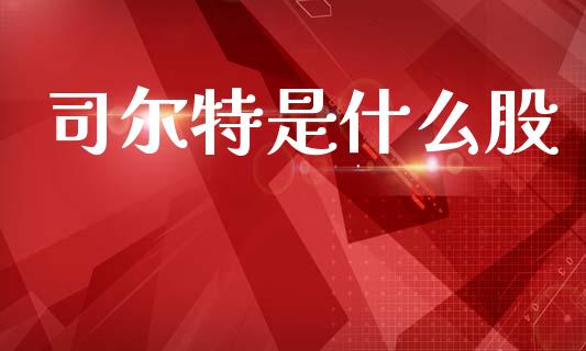 司尔特是什么股_https://www.qdlswl.com_内盘_第1张