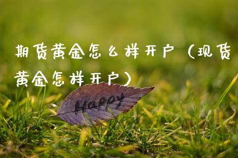 期货黄金怎么样开户（现货黄金怎样开户）_https://www.qdlswl.com_期货_第1张