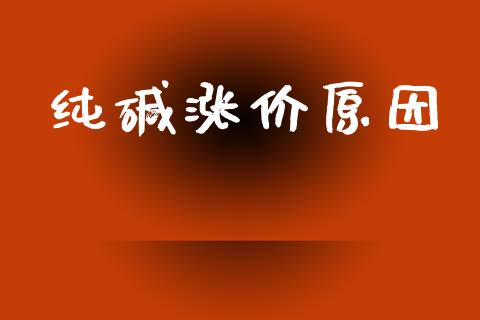 纯碱涨价原因_https://www.qdlswl.com_期货_第1张