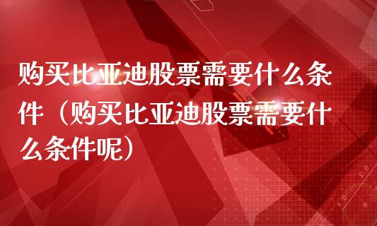 购买比亚迪股票需要什么条件（购买比亚迪股票需要什么条件呢）_https://www.qdlswl.com_内盘_第1张