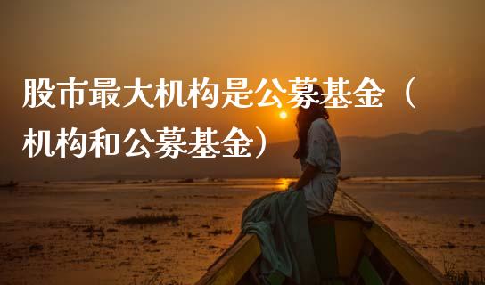 股市最大机构是公募基金（机构和公募基金）_https://www.qdlswl.com_理财_第1张