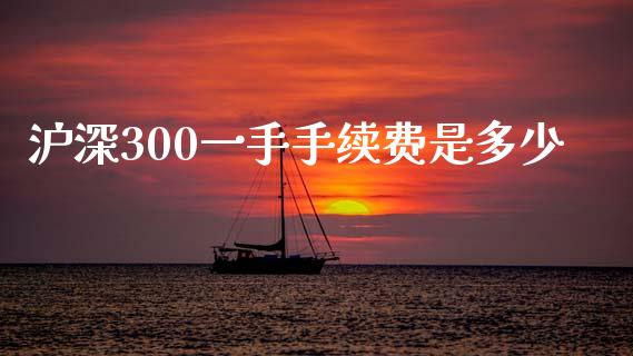 沪深300一手手续费是多少_https://www.qdlswl.com_期货_第1张