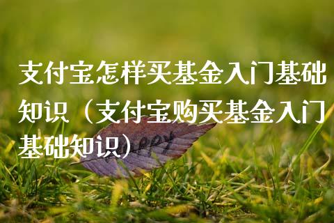 支付宝怎样买基金入门基础知识（支付宝购买基金入门基础知识）_https://www.qdlswl.com_基金_第1张