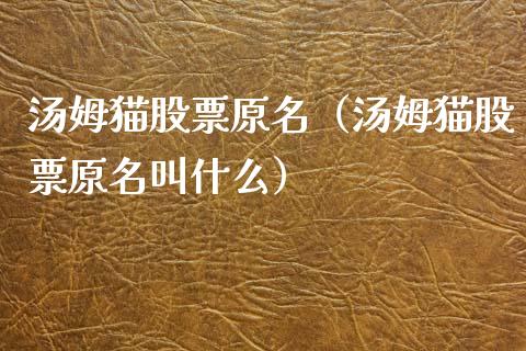 汤姆猫股票原名（汤姆猫股票原名叫什么）_https://www.qdlswl.com_股票_第1张