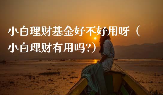 小白理财基金好不好用呀（小白理财有用吗?）_https://www.qdlswl.com_基金_第1张