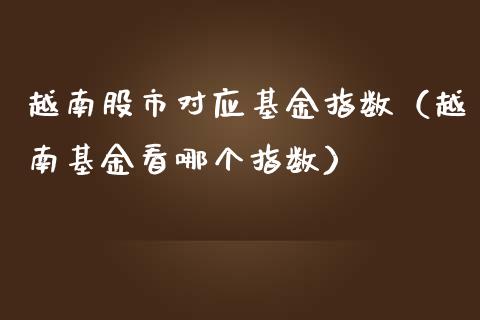 越南股市对应基金指数（越南基金看哪个指数）_https://www.qdlswl.com_基金_第1张
