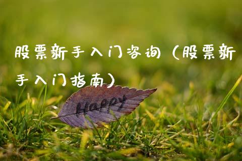 股票新手入门咨询（股票新手入门指南）_https://www.qdlswl.com_外盘_第1张