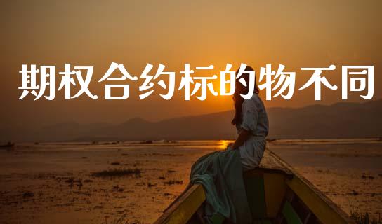 期权合约标的物不同_https://www.qdlswl.com_基金_第1张