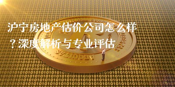 沪宁房地产估价公司怎么样？深度解析与专业评估_https://www.qdlswl.com_基金_第1张