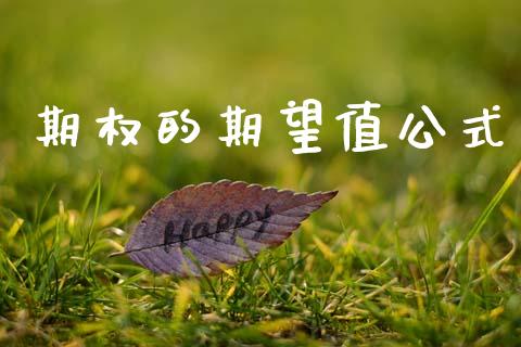 期权的期望值公式_https://www.qdlswl.com_外盘_第1张