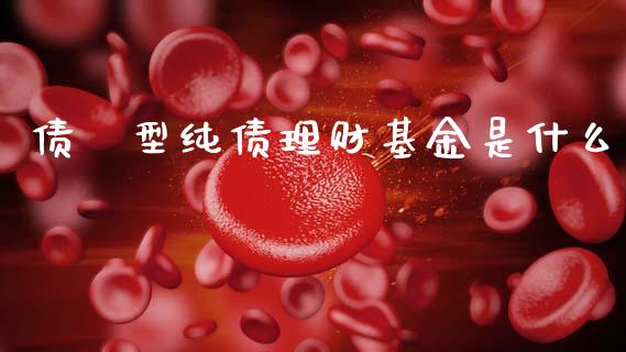 债劵型纯债理财基金是什么_https://www.qdlswl.com_理财_第1张