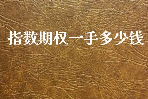 指数期权一手多少钱_https://www.qdlswl.com_股指_第1张