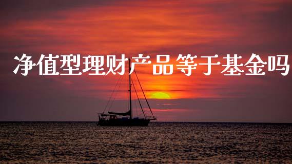 净值型理财产品等于基金吗_https://www.qdlswl.com_理财_第1张