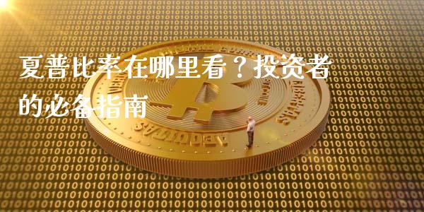 夏普比率在哪里看？投资者的必备指南_https://www.qdlswl.com_期货_第1张