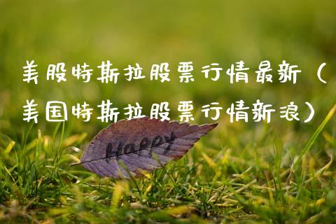 美股特斯拉股票行情最新（美国特斯拉股票行情新浪）_https://www.qdlswl.com_股票_第1张