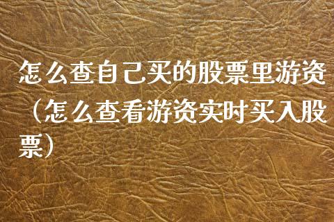 怎么查自己买的股票里游资（怎么查看游资实时买入股票）_https://www.qdlswl.com_内盘_第1张