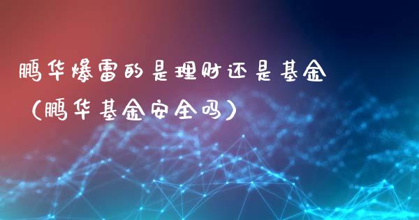 鹏华爆雷的是理财还是基金（鹏华基金安全吗）_https://www.qdlswl.com_理财_第1张