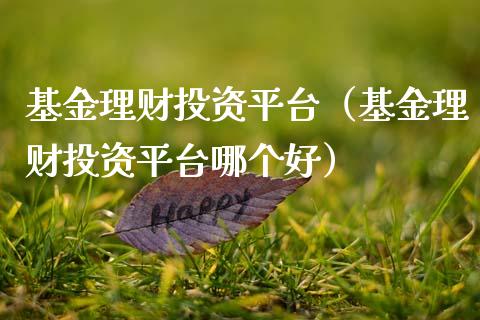 基金理财投资平台（基金理财投资平台哪个好）_https://www.qdlswl.com_基金_第1张