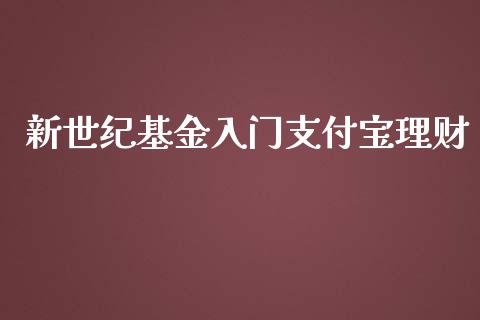 新世纪基金入门支付宝理财_https://www.qdlswl.com_基金_第1张