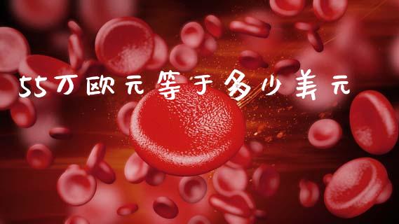 55万欧元等于多少美元_https://www.qdlswl.com_股票_第1张