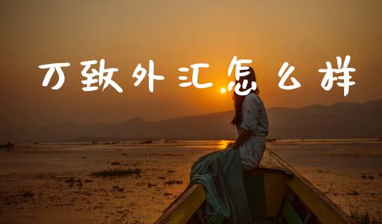 万致外汇怎么样_https://www.qdlswl.com_直播_第1张