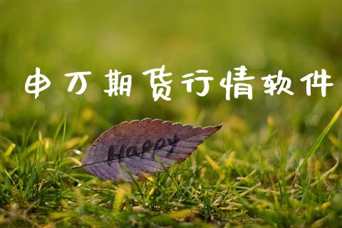 申万期货行情软件_https://www.qdlswl.com_股指_第1张