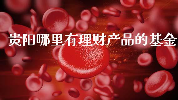 贵阳哪里有理财产品的基金_https://www.qdlswl.com_基金_第1张