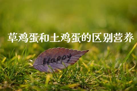 草鸡蛋和土鸡蛋的区别营养_https://www.qdlswl.com_期货_第1张