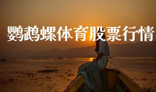 鹦鹉螺体育股票行情_https://www.qdlswl.com_股票_第1张