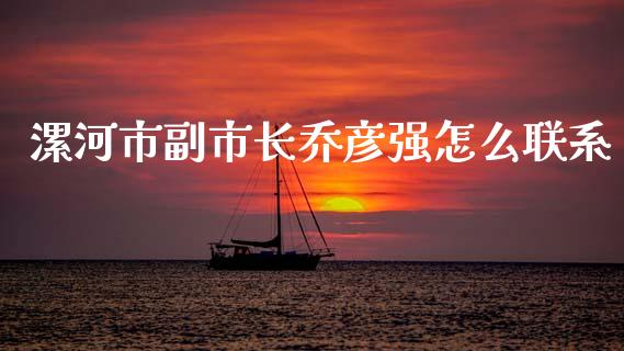 漯河市副市长乔彦强怎么联系_https://www.qdlswl.com_理财_第1张