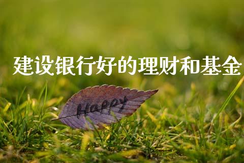 建设银行好的理财和基金_https://www.qdlswl.com_基金_第1张