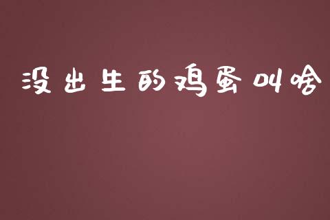 没出生的鸡蛋叫啥_https://www.qdlswl.com_期货_第1张