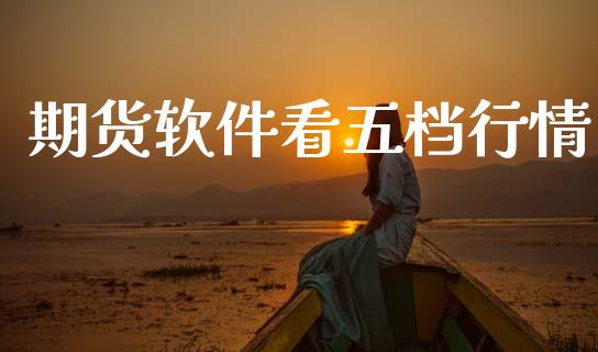 期货软件看五档行情_https://www.qdlswl.com_股指_第1张