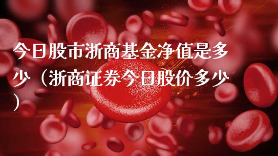 今日股市浙商基金净值是多少（浙商证券今日股价多少）_https://www.qdlswl.com_理财_第1张