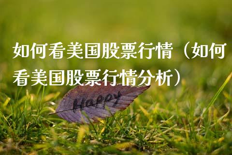 如何看美国股票行情（如何看美国股票行情分析）_https://www.qdlswl.com_内盘_第1张
