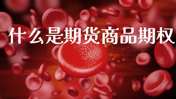 什么是期货商品期权_https://www.qdlswl.com_股指_第1张