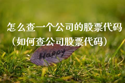 怎么查一个公司的股票代码（如何查公司股票代码）_https://www.qdlswl.com_股票_第1张