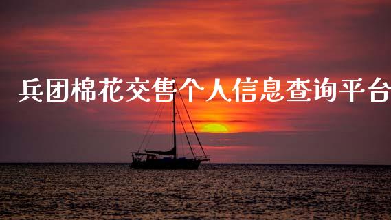 兵团棉花交售个人信息查询平台_https://www.qdlswl.com_股指_第1张