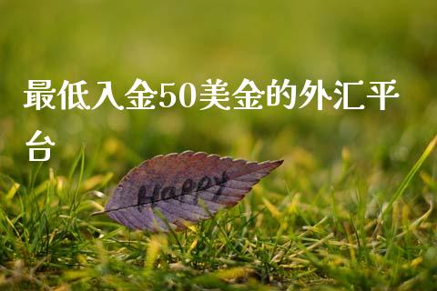 最低入金50美金的外汇平台_https://www.qdlswl.com_直播_第1张