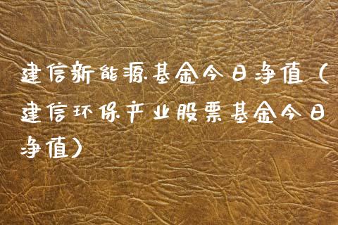 建信新能源基金今日净值（建信环保产业股票基金今日净值）_https://www.qdlswl.com_基金_第1张