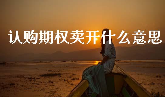 认购期权卖开什么意思_https://www.qdlswl.com_期货_第1张