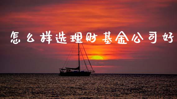 怎么样选理财基金公司好_https://www.qdlswl.com_理财_第1张