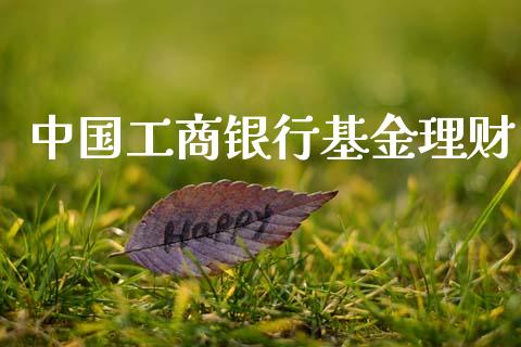 中国工商银行基金理财_https://www.qdlswl.com_理财_第1张