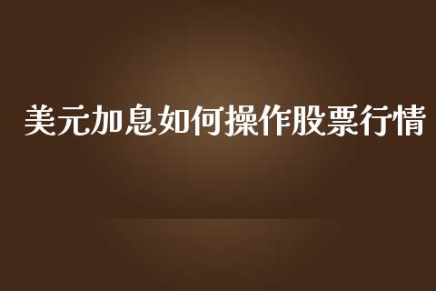美元加息如何操作股票行情_https://www.qdlswl.com_外盘_第1张