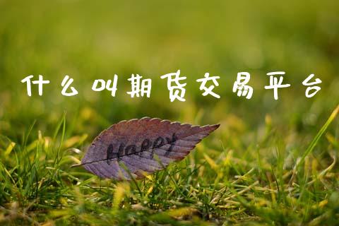 什么叫期货交易平台_https://www.qdlswl.com_基金_第1张