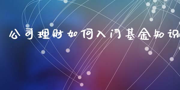 公司理财如何入门基金知识_https://www.qdlswl.com_基金_第1张