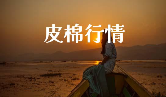 皮棉行情_https://www.qdlswl.com_股指_第1张