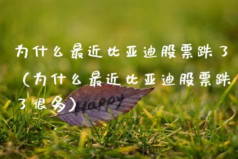 为什么最近比亚迪股票跌了（为什么最近比亚迪股票跌了很多）_https://www.qdlswl.com_内盘_第1张