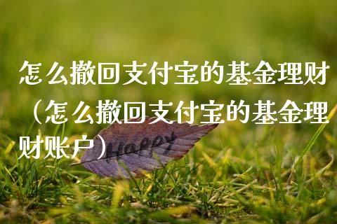 怎么撤回支付宝的基金理财（怎么撤回支付宝的基金理财账户）_https://www.qdlswl.com_理财_第1张