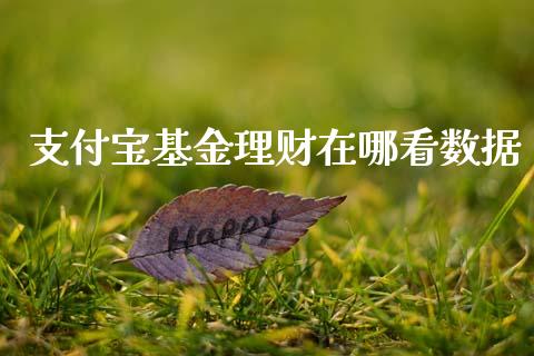 支付宝基金理财在哪看数据_https://www.qdlswl.com_基金_第1张